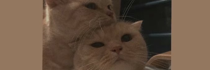 WY_Small's profile banner image