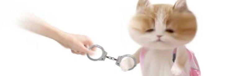 🎐 banner