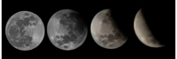 mafyfy25 Profile Banner