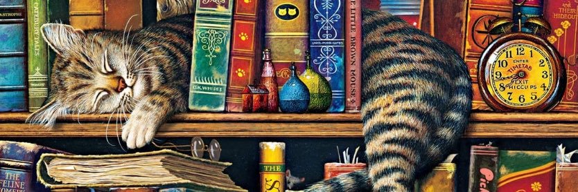 feistygrl76's profile banner image