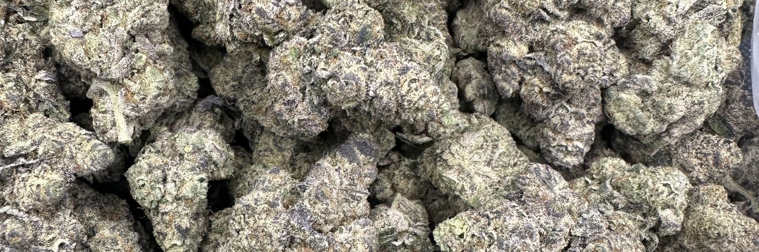 Doctor_reeferX's profile banner image