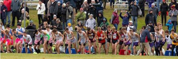 MINTFXC Profile Banner