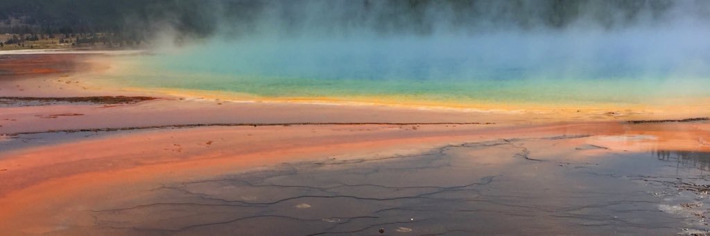 icyangel5000's profile banner image