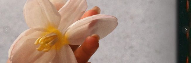 Zhao Lusi International 的个人资料封面