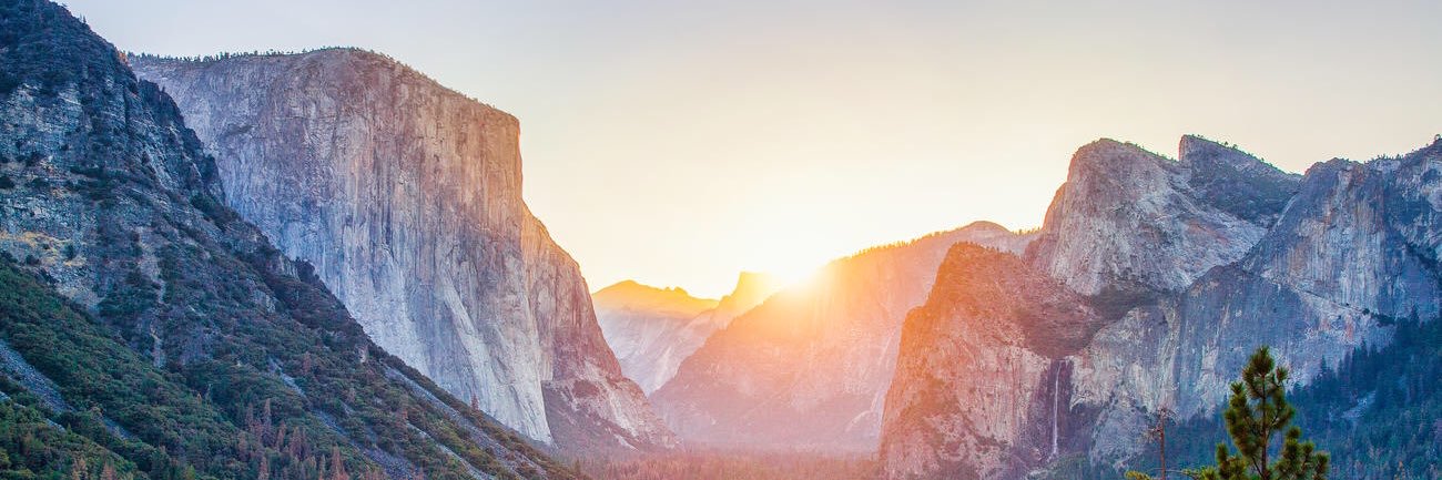 desipach29's profile banner image