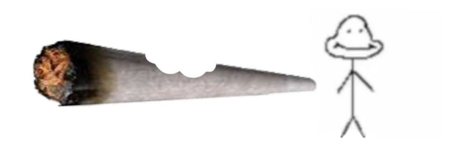 panik's banner