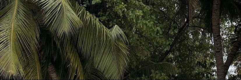 R•M•M banner