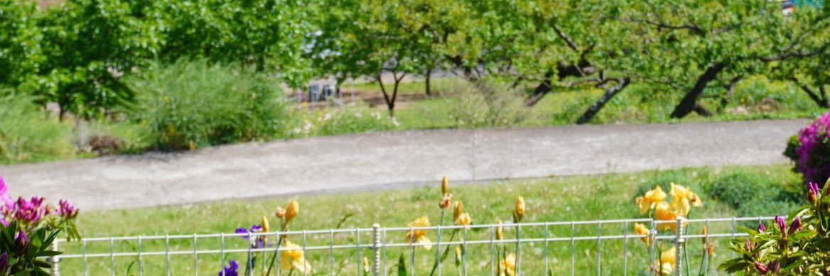 lovedreamhappi's profile banner image