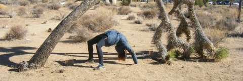 Bettina Hubby banner