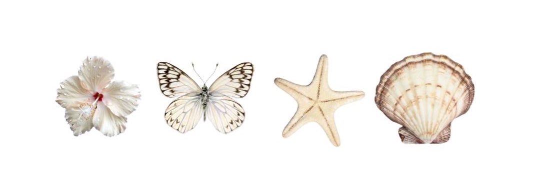 𝘀𝗵𝗮𝗿𝗼𝗻𝘅𝗲𝘁𝗶𝗻𝗮 banner