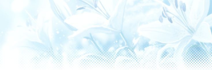 @kiaritadoom ahi siganme 👀 banner