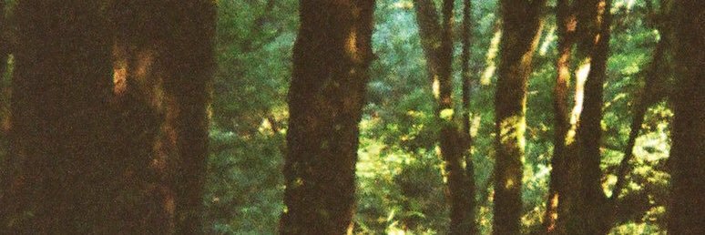 delete this app, go somewhere else banner