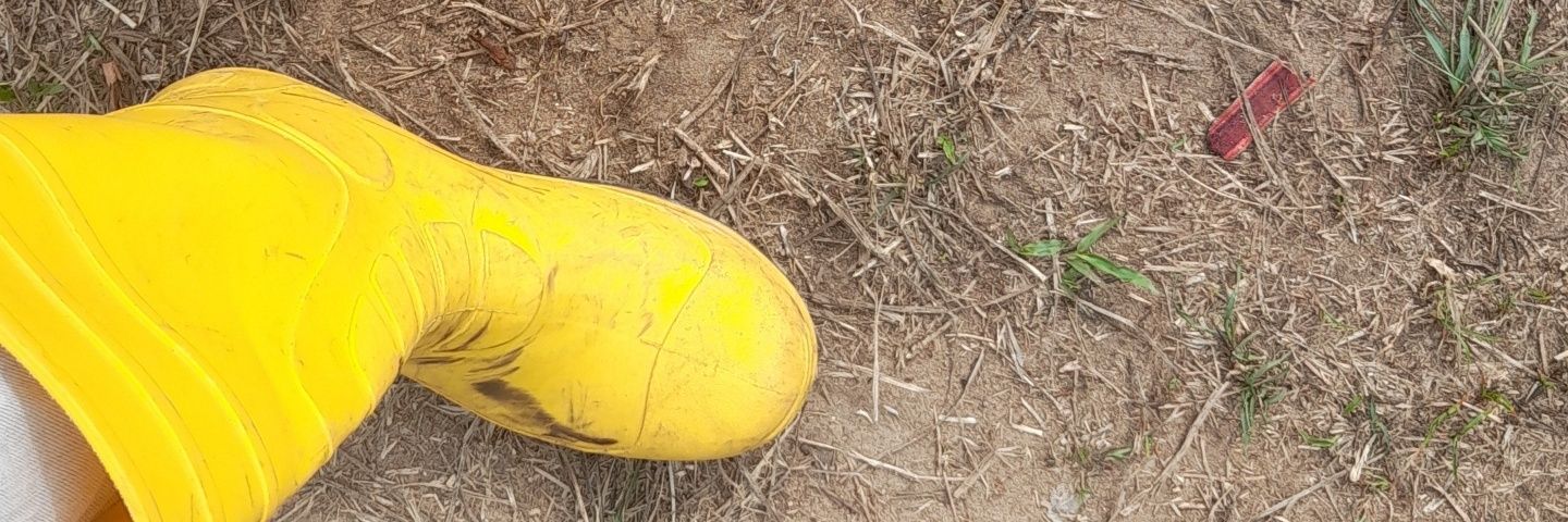 Daniel Benedict banner