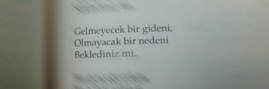 nediyondeyisikk's profile banner image