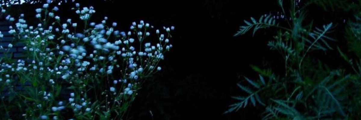 spruce :p banner