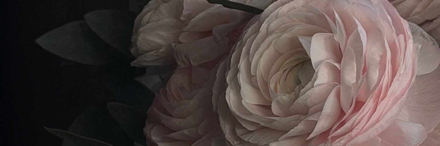youknowmary's profile banner image
