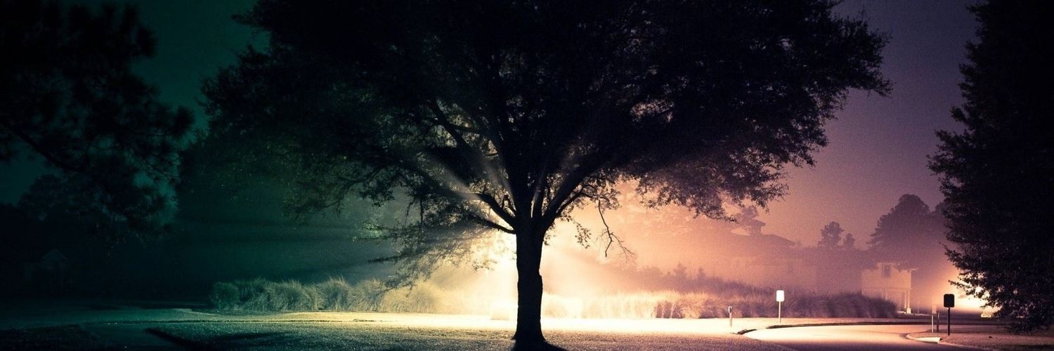 sharkeens's profile banner image