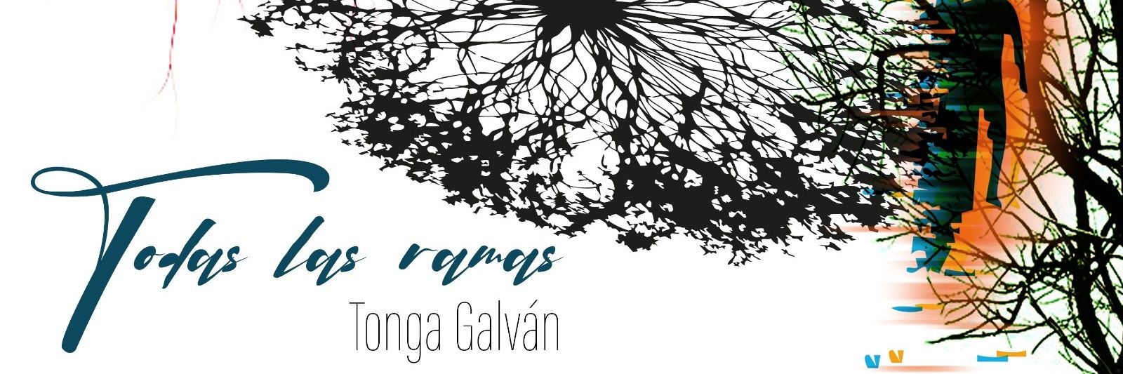 TongaGalvan's profile banner image