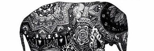 mariajpradog's profile banner image