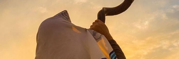 PRAESHUS 💎 banner