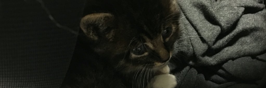 tor0ku's profile banner image