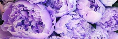 Lils099's profile banner image