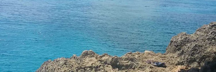DeniseHoranx's profile banner image