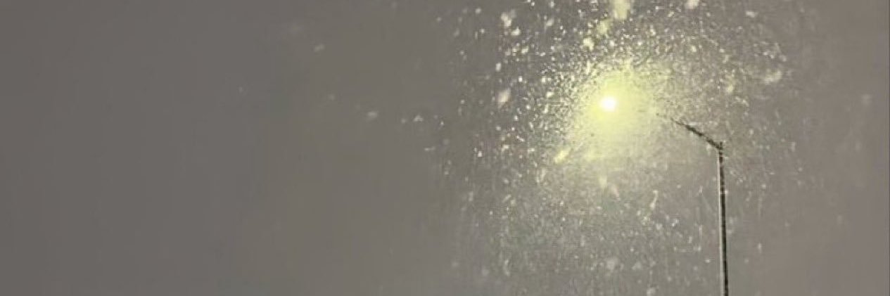 jacquephroast's profile banner image
