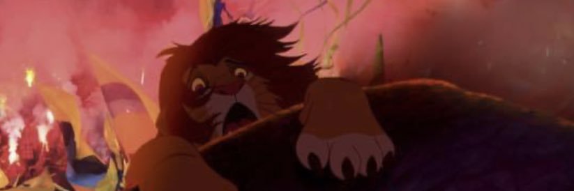 NBrogaard95's profile banner image