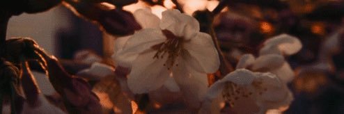 jadelynn6399's profile banner image