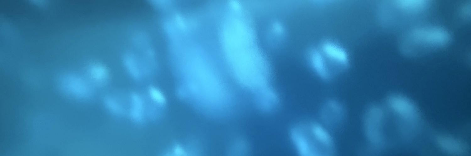 moa_cha_n_00's profile banner image