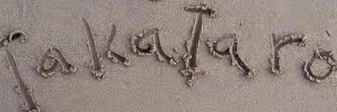 たかたろー(takataro)💐橙宝🍊 banner