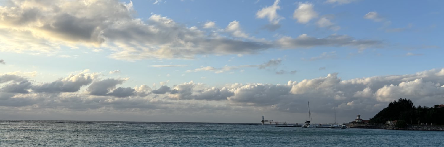 みー@shopee初心者🔰 banner