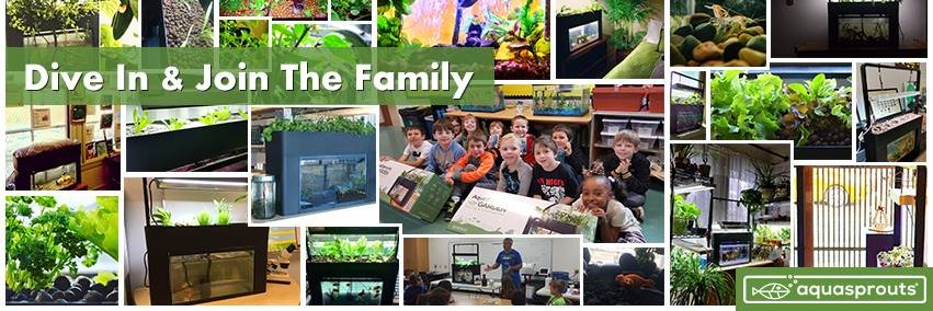 AquaSprouts banner