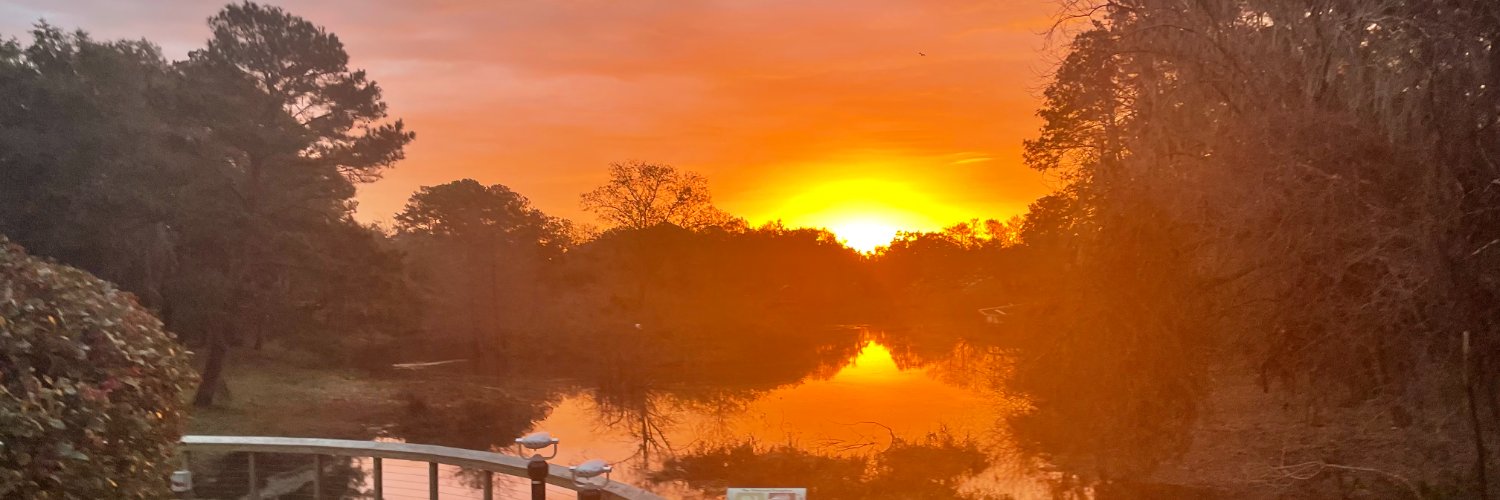 Ann-Marie Adams banner