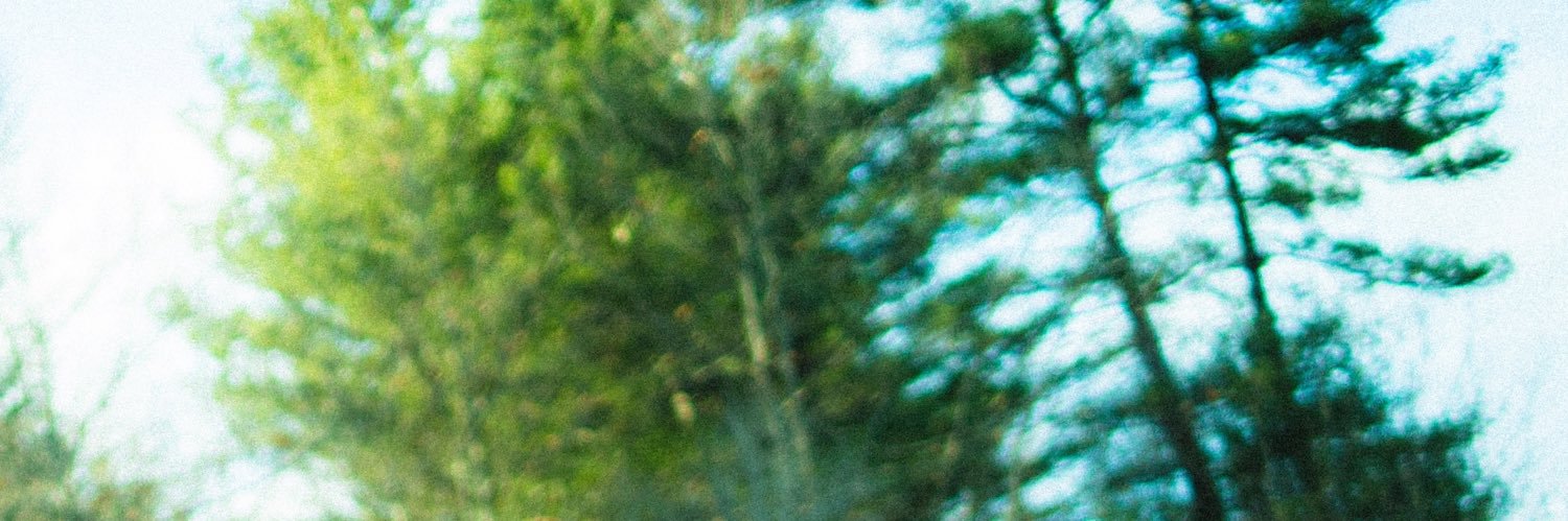 joyce. banner