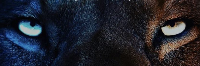 26Dooda's profile banner image