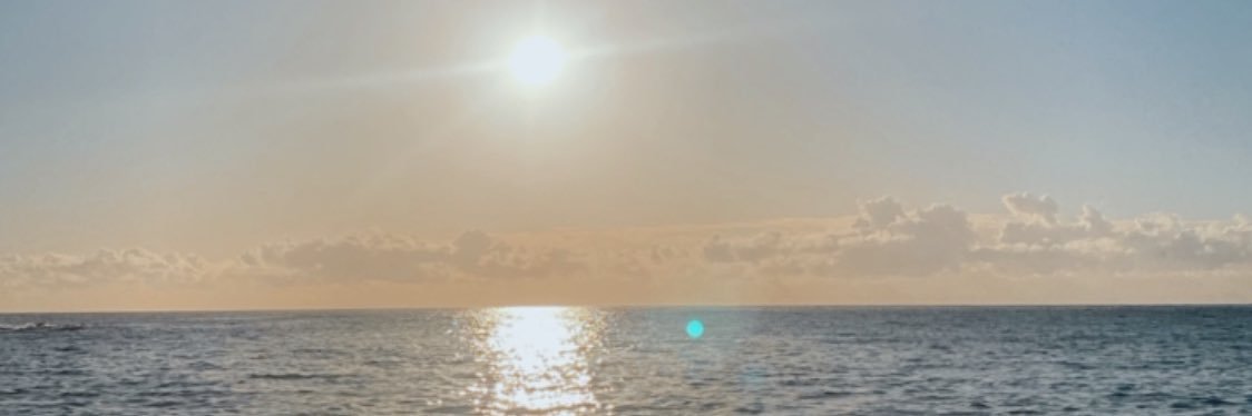 SoledadRanieri's profile banner image