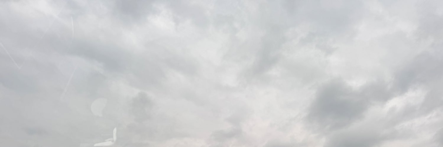蜂蜜黄油贝果 banner