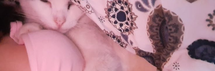 jy banner