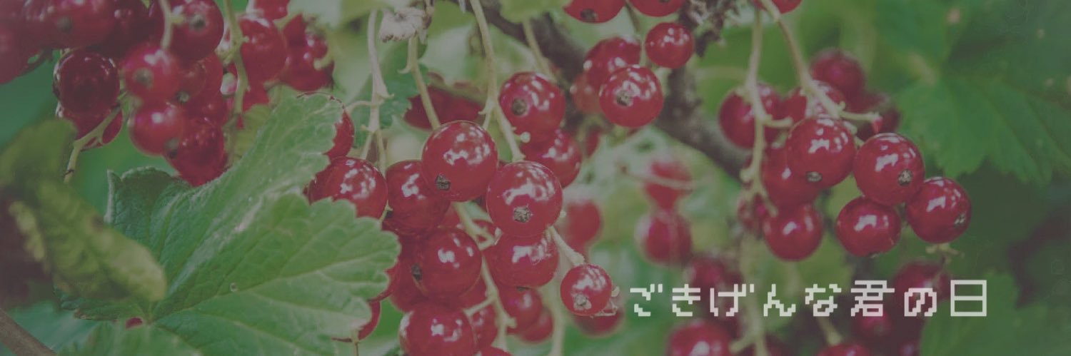 すぎ花粉 banner