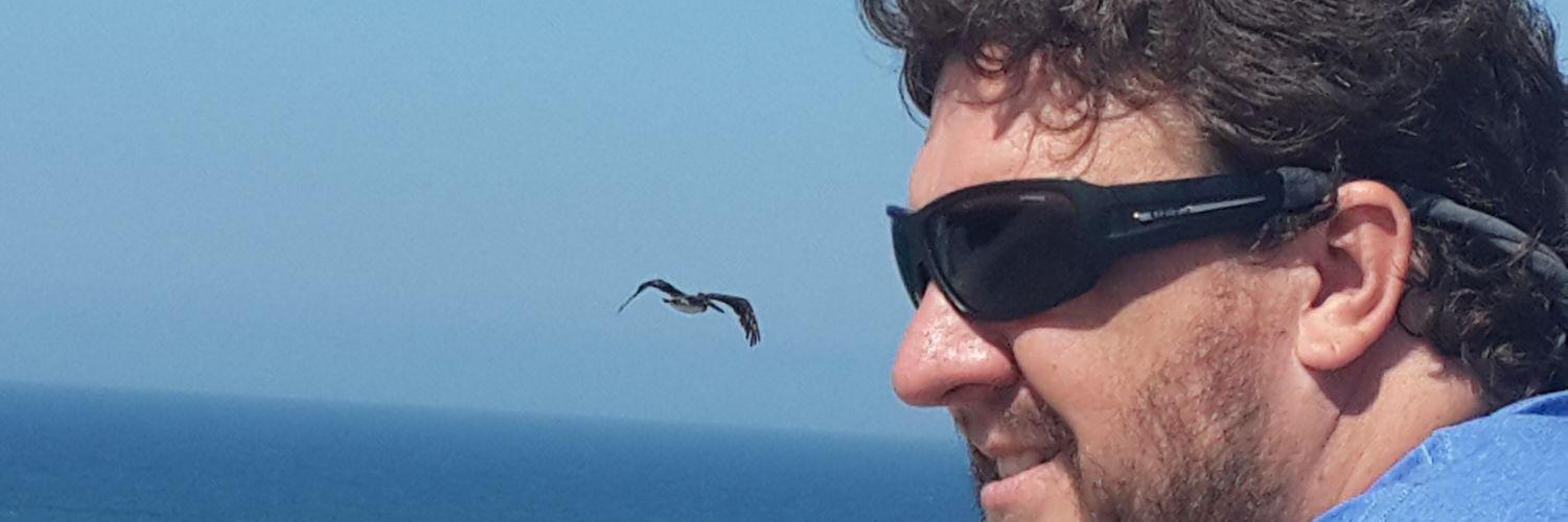 polacopulido's profile banner image