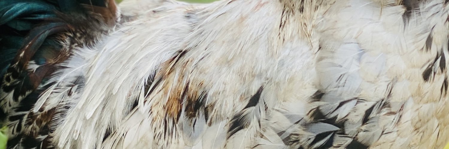 SentamuJohn6's profile banner image