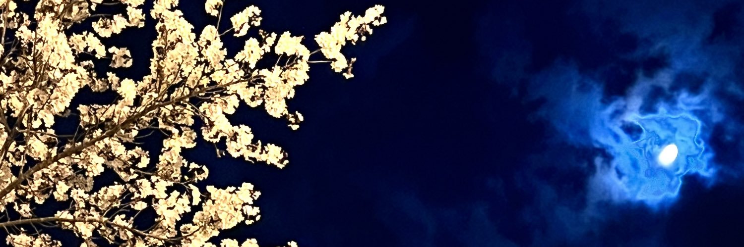 cielosoleluna's profile banner image