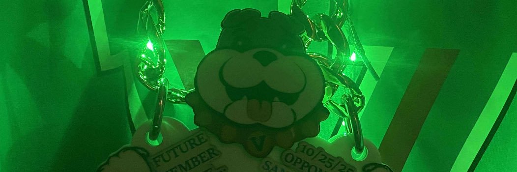 Green V Section 💚💚 banner