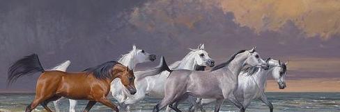 FakGUINOUBI's profile banner image