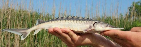 AFS_Students Profile Banner