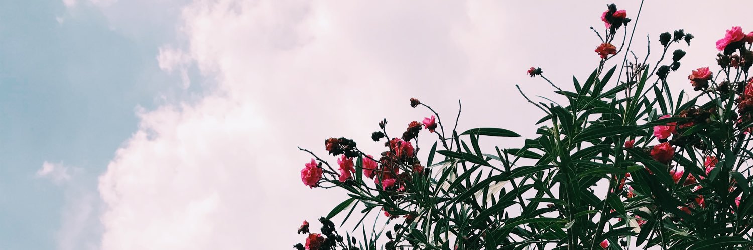 _raaqueelg's profile banner image