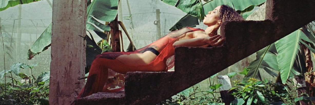 Judith Rodriguez banner