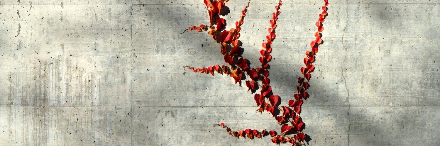 ColleenMMyers's profile banner image